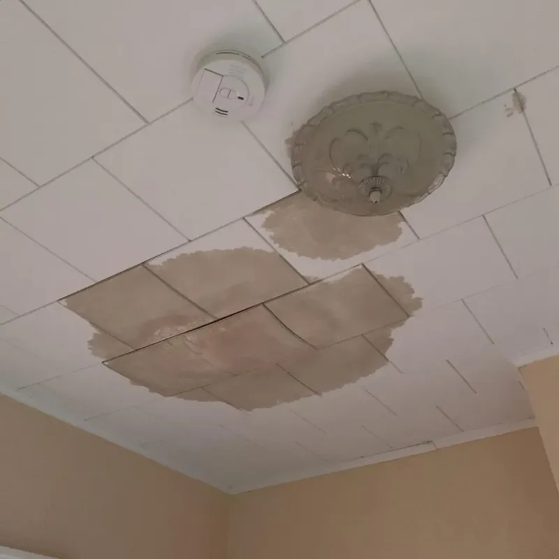 Ceiling Water Damage Repair in Steele, MO
