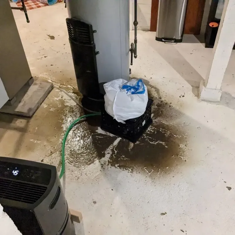 Sewage Backup Cleanup Service in Steele, MO